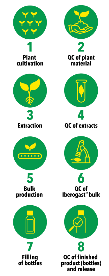 8-Step_Mobile
