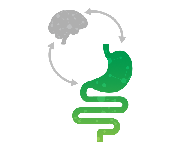 Gut brain interaction