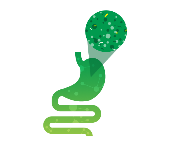 Gut microbiome