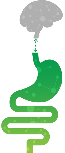 Iberogast MOA