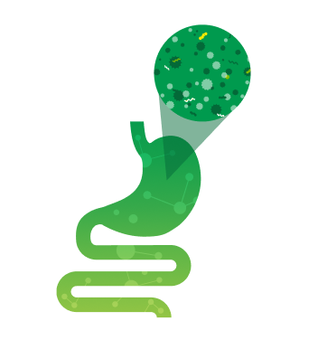 Gut Function Integrity